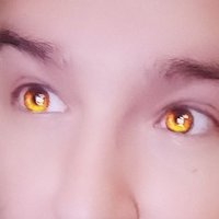 ´🔞🐱🦶Chatigre🕊🇺🇦🦶🐱🔞 (@bdpchatigre) 's Twitter Profile