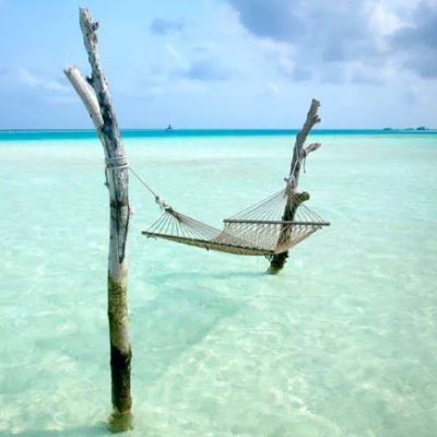 horeca_adviesnl's profile picture. 