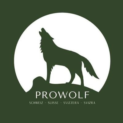 Die Stimme des Wolfs im #Bundeshaus. Unterstützen Sie die Pro Wolf Petition - Mitmachen und Wölfe retten: https://t.co/hCUt5yJsxX #ProWolfSchweiz