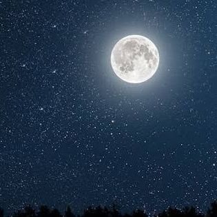 madiha21_8's profile picture. RTs are not endorsement.