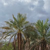 الحربي ٢٠٢٥ (@masoud5978) 's Twitter Profile