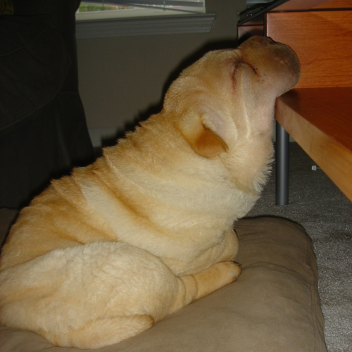 jon_poei's profile picture. 