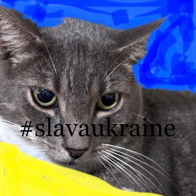 #BLM Blocking #magats, bots, Anti-Vaxxers, LIARS. 22 years DoD-Retired. AMERICA has no KKKs! 🌊 🏳️🌈 🏳️⚧️🇺🇦🇺🇦🇺🇦🇺🇦 gop=rape/incest. CATS RULE #🟦🐬🏈