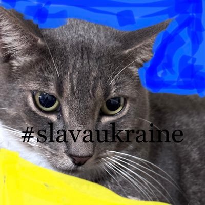 #BLM Blocking #magats, bots, Anti-Vaxxers, LIARS. 22 years DoD-Retired. AMERICA has no KKKs! 🌊 🏳️‍🌈 🏳️‍⚧️🇺🇦🇺🇦🇺🇦🇺🇦 gop=rape/incest. CATS RULE #🟦🐬🏈