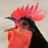 adavis911's profile image