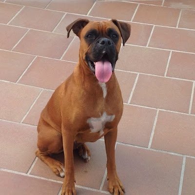 VictorM66678952's profile picture. 