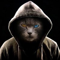 vortex (@mr_vortex3) 's Twitter Profile
