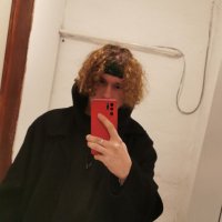 Fregoli (@fregolixdd) 's Twitter Profile