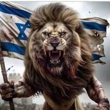 Proud American 🇺🇸 & Zionist 🇮🇱 Am Yisrael Chai 💙🇮🇱🤍