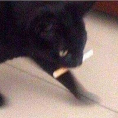 existing_maybe_'s profile picture. 