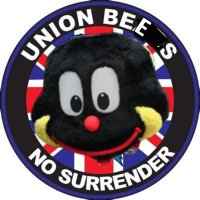 UB23(@UnionBees) 's Twitter Profile Photo