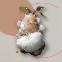 サフィリア (@candy_bleached) 's Twitter Profile