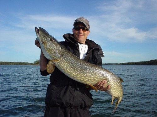 KoivistoJanne's profile picture. 