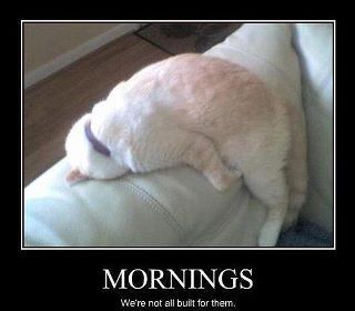 w3ar3aliv3's profile picture. boys will be boys...