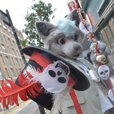 Arctic fox
He/him
Just a foxy boy with a camera 📷📸
having fun
DM'S open and happy to chat ✉️
Suit made by @sodayeena