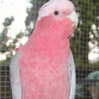 Graham Mitchell (@mogganer1) 's Twitter Profile Photo