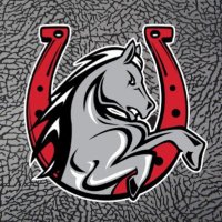 Lake Belton HS Football (@lbbroncofb) 's Twitter Profile Photo Lake Belton HS Football (@lbbroncofb) 's Twitter Profile Photo