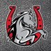 Lake Belton HS Football (@LBBroncoFB) Twitter profile photo