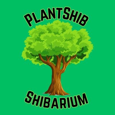 Lets Plant some 🌳s in the 🌏 bridging the Gap between virtual and reality using Shibarium  🌳🌲🌏🍎♻️🎧🏕🛵🚜
