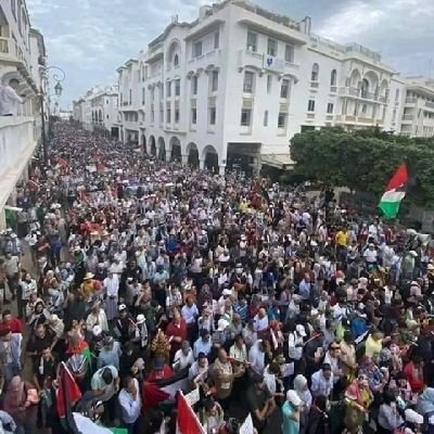 يتم نشر الوقفات و المسيرات المنظمة بمختلف المدن المغربية نصرة لاخواننا في فلسطين