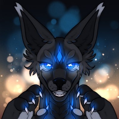 augur dogさんのプロフィール画像