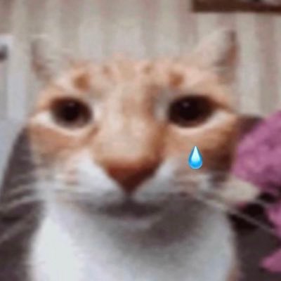 its_rat_man's profile picture. they/them | drawings sometimes | not super active!