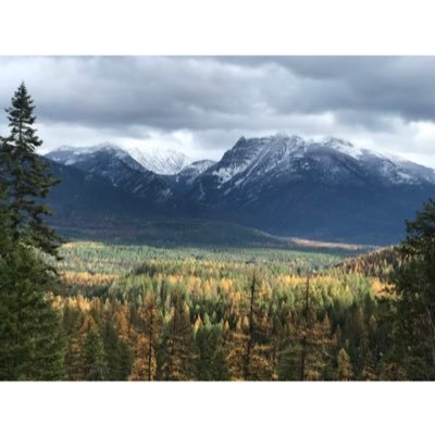 DaltonMorg52941's profile picture. 🚫 Porn or DMs