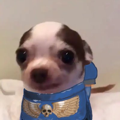 mecha7ortuga's profile picture. 