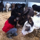 Tracey Rowley - @Traceyeleven - Twitter