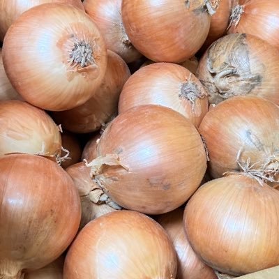 nionioniorings's profile picture. リツイートおおめなのでリツイートミュートで🥺STEPER TEKKONやってます。ゴミに最近関心ある。 フォローしてきてくれる方だいたいお金配ってるけど、残念ながら知らない人からお金はもらえないです。ご親切にどうも。