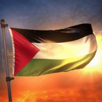 Action For Palestine Canada (@actionforpalca) 's Twitter Profile