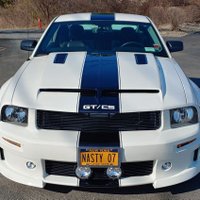Mustangs and Muscle Cars(@mar37989) 's Twitter Profile Photo