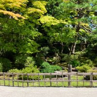 っ (@2mul_) 's Twitter Profile Photo