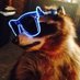 Raccoon Lover (@raccoon_tv_) Twitter profile photo Raccoon Lover (@raccoon_tv_) Twitter profile photo