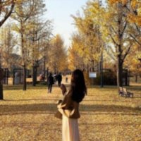 みけてゃ (@miketey78237544) 's Twitter Profile