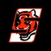 SSN - Cincinnati Bengals (@SSN_Bengals) Twitter profile photo