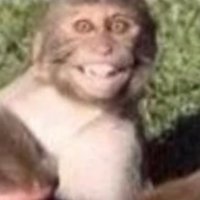 Gotchagoing (@gotchagoing) 's Twitter Profile