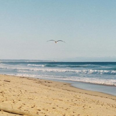 savanna_avakian's profile picture. Swiftie since 2014 🫶