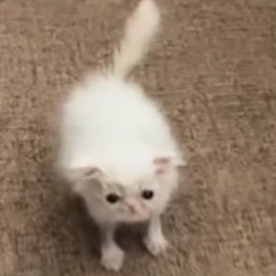 :3さんのプロフィール画像