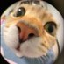 SH (@_songhum) Twitter profile photo SH (@_songhum) Twitter profile photo