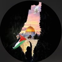 سحر (@snshxmeed) 's Twitter Profile