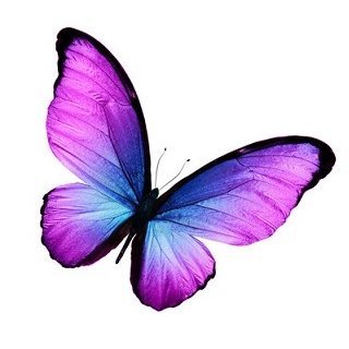 ABtheButterfly Profile Picture