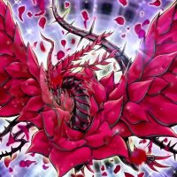 ぷちうひょ (@2477rose) 's Twitter Profile Photo ぷちうひょ (@2477rose) 's Twitter Profile Photo