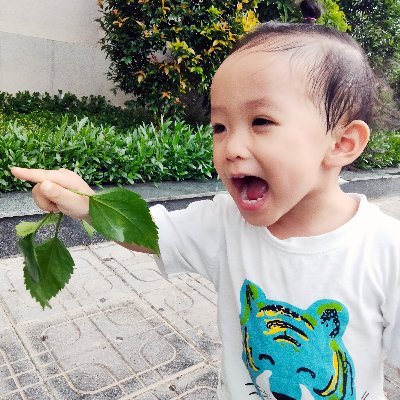 TruongKieuVan1's profile picture. 