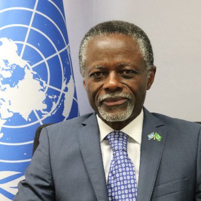 Special Representative of the UN Secretary-General to the African Union and Head of UNOAU