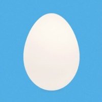plaltimus 🇺🇸🇻🇦 (@plaltimus) 's Twitter Profile Photo