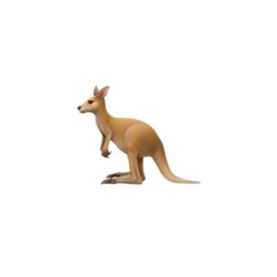 Kangaroo 🦘