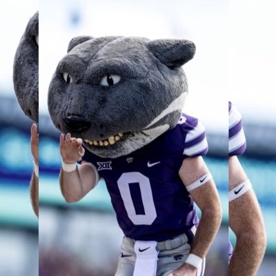 Came out the womb a wildcat fan. EMAW over Everything. Just my opinion on all things K-State —KS ➡️ IL