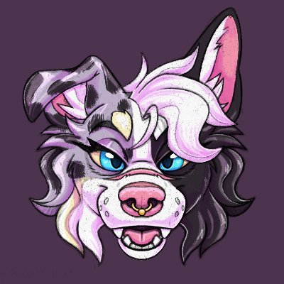 The Queen is here 👑 Domesticated but still a little feral 👑 lilac Merle border collie👑 Female👑Demisexual👑She/Her 25
Multi-Suiter