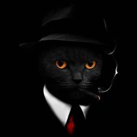 0xproof (@0x_proof) 's Twitter Profile